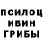 Псилоцибиновые грибы Cubensis Habibullo Gulov
