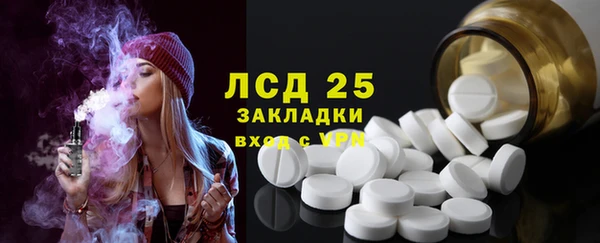 твердый Михайлов