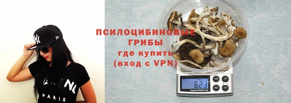 spice Михайловск