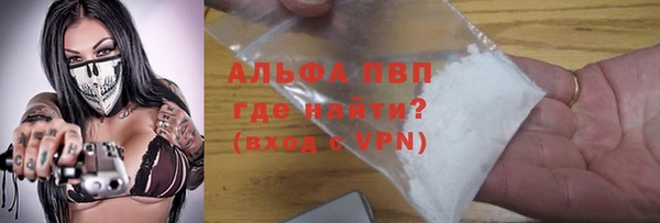твердый Михайлов