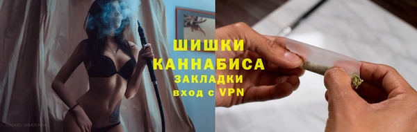 твердый Михайлов