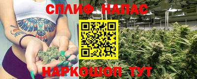 spice Заволжье