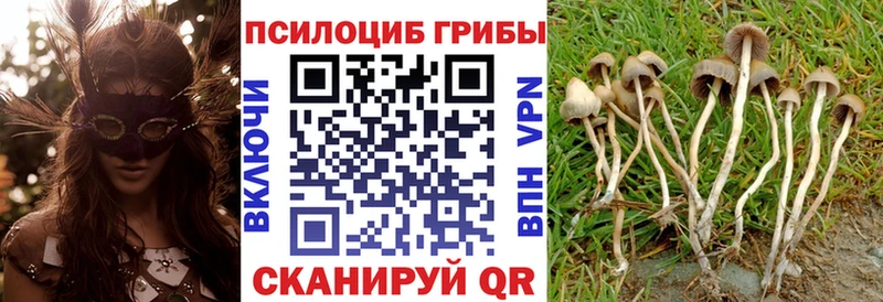Псилоцибиновые грибы ЛСД  Зеленодольск 