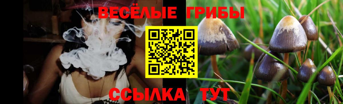 Кокаин  Меф кристаллы  LSD-25  Меф МЯУ МЯУ кристаллы  Гашиш  Зеленодольск  МАРИХУАНА  КОКАИН  Где продают наркотики? 